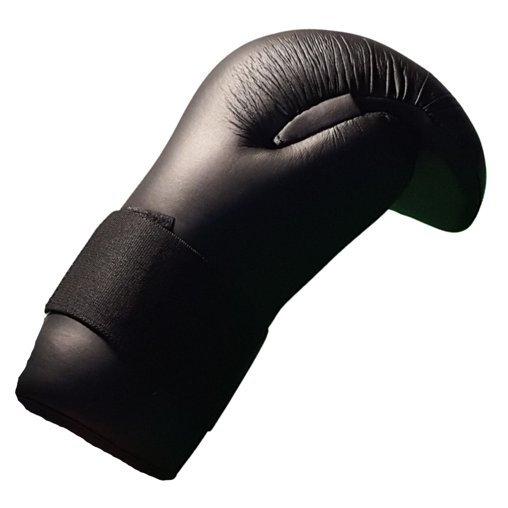 TAGB - Sparring Gloves