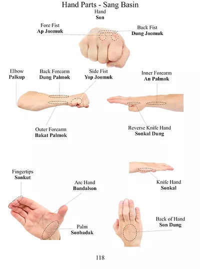 TAGB - Grading Syllabus, White to Black Stripe