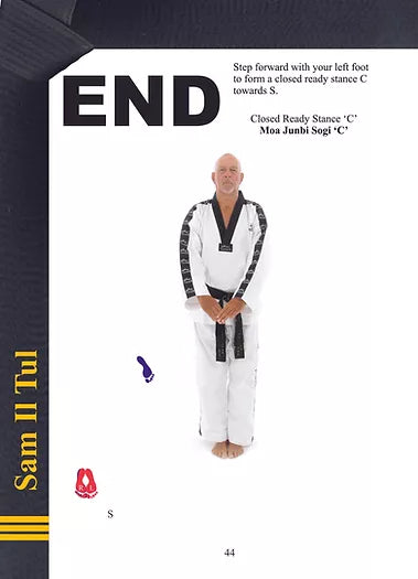 TAGB - 3rd Degree Black Belt Patterns Manual
