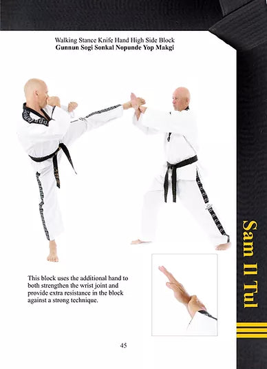 TAGB - 3rd Degree Black Belt Patterns Manual