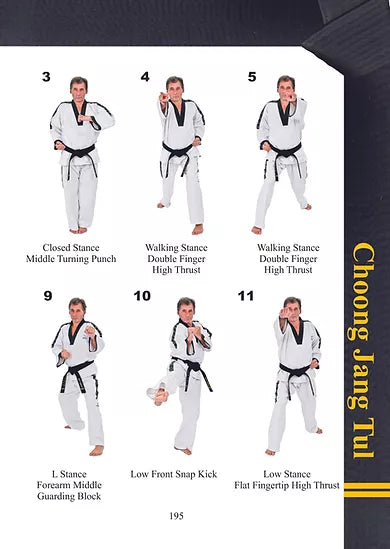 TAGB - 2nd Degree Black Belt Patterns Manual