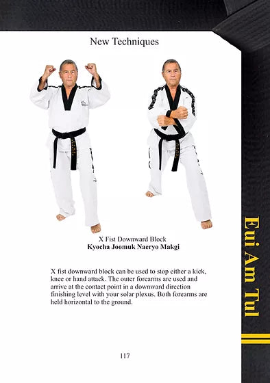 TAGB - 2nd Degree Black Belt Patterns Manual