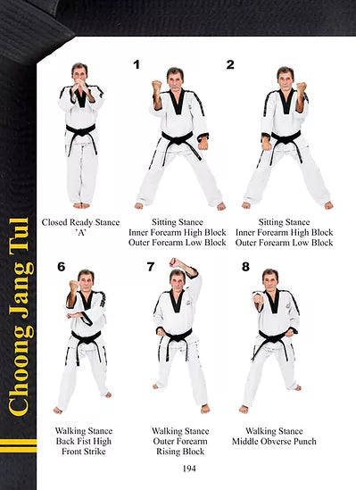 TAGB - 2nd Degree Black Belt Patterns Manual