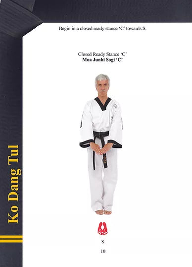TAGB - 2nd Degree Black Belt Patterns Manual