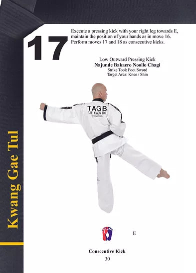 TAGB - 1st Degree Black Belt Patterns Manual