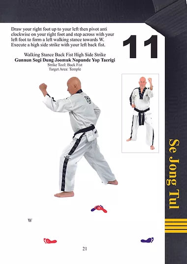 TAGB - 4th Degree Black Belt Patterns Manual
