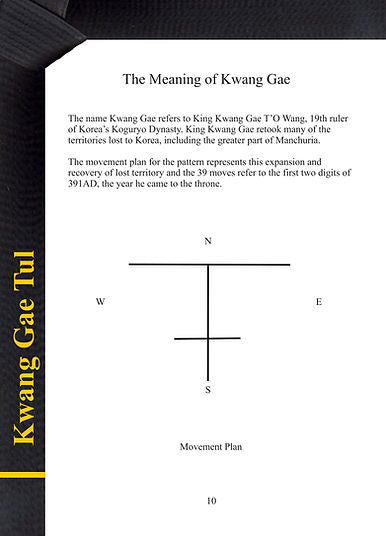 TAGB - 1st Degree Black Belt Patterns Manual