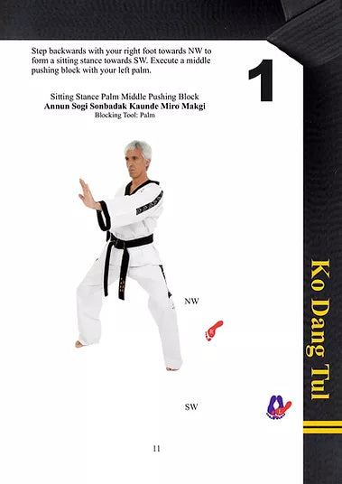 TAGB - 2nd Degree Black Belt Patterns Manual